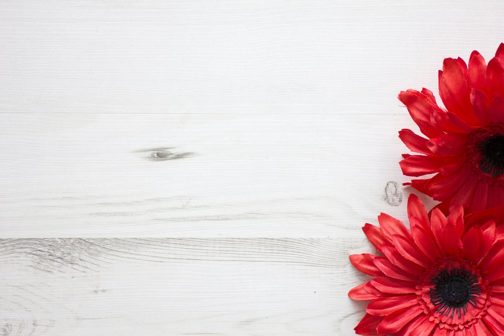 Straight down view of wooden surface with two red flowers at the border Straight down view of wooden surface with two red flowers at the border
